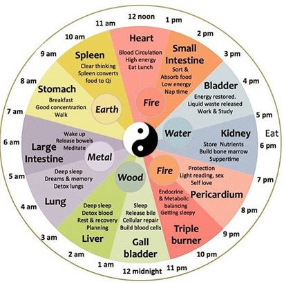 LES 12 PRINCIPAUX MÉRIDIENS DE LA MÉDECINE TRADITIONNELLE CHINOISE